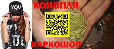 Альфа ПВП Дмитров