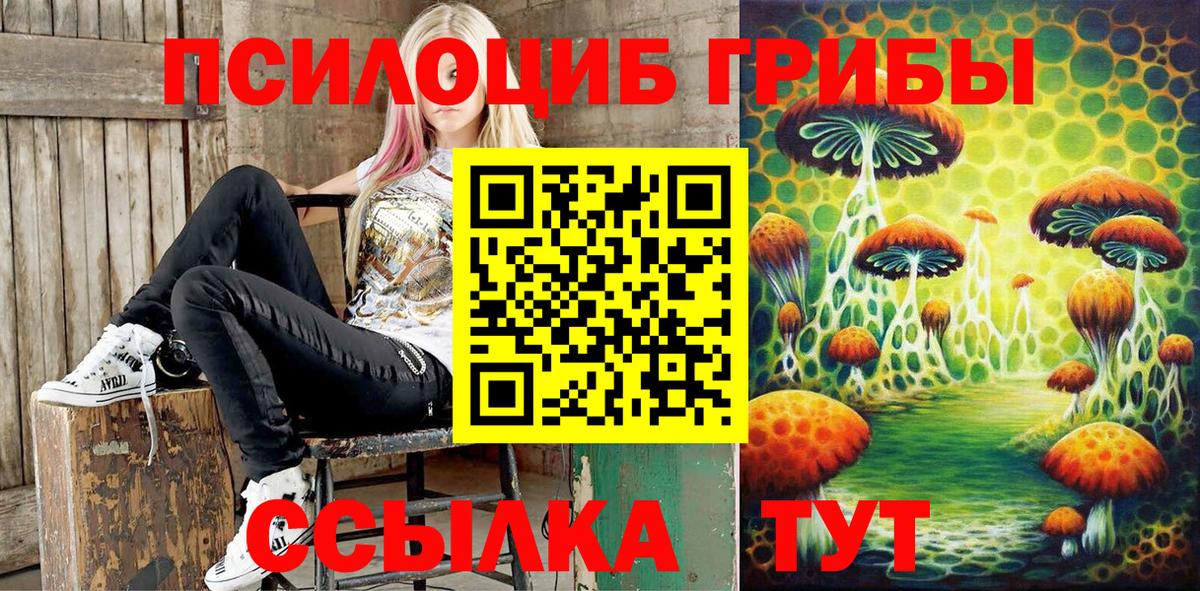 Канск  Галлюциногенные грибы GOLDEN TEACHER  хочу   Вход с VPN 