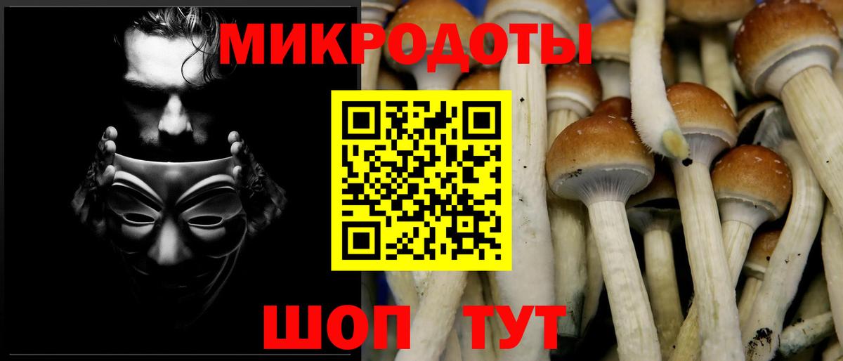 Галлюциногенные грибы мухоморы Канск
